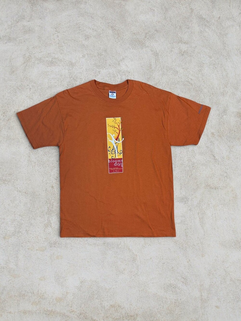 Vintage 2006 Bloomsday Marathon Spokane Graphic T Shirt Jerzees Y2K Sz L
